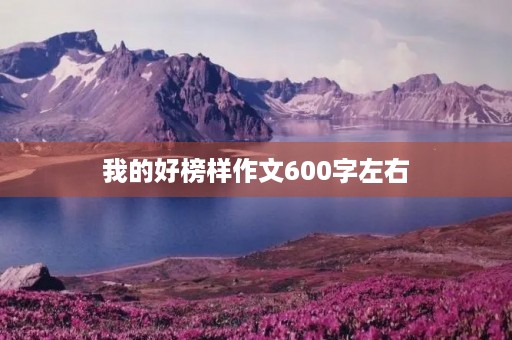 我的好榜样作文600字左右