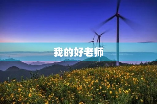 我的好老师 我的好老师