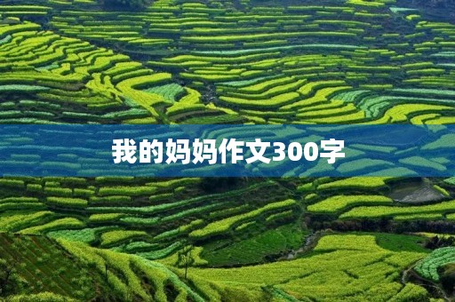 我的妈妈作文300字