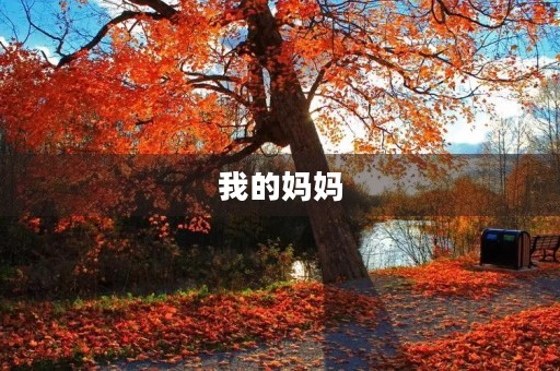 我的妈妈,那个伟大的女人 我的妈妈,那个伟大的女人