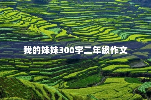 我的妹妹300字二年级作文
