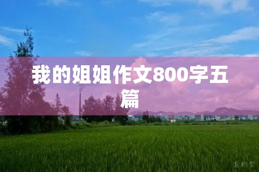 我的姐姐作文800字五篇