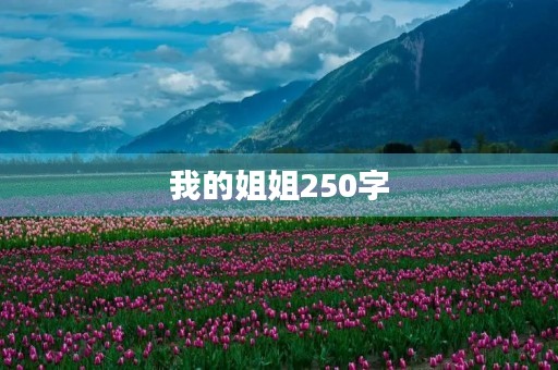 我的姐姐250字