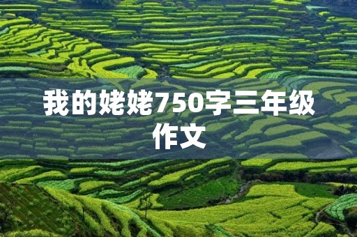 我的姥姥750字三年级作文 我的姥姥750字三年级作文