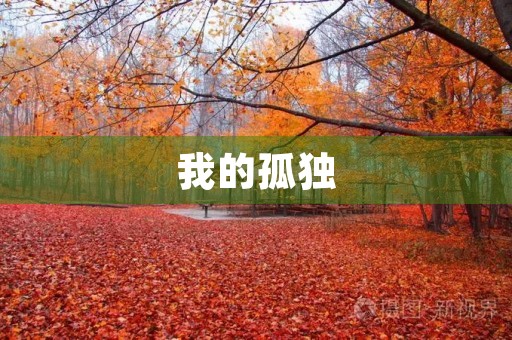 我的孤独 我的孤独