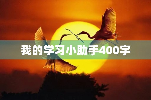 我的学习小助手400字