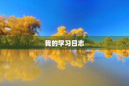 我的学习日志