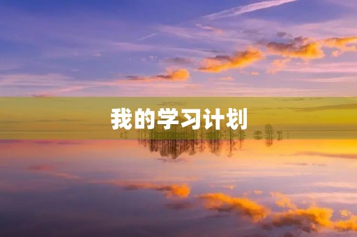 我的学习计划