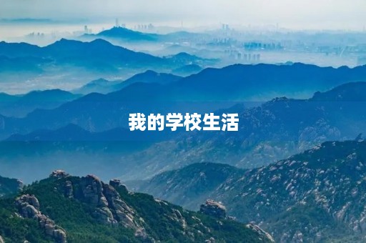 我的学校生活