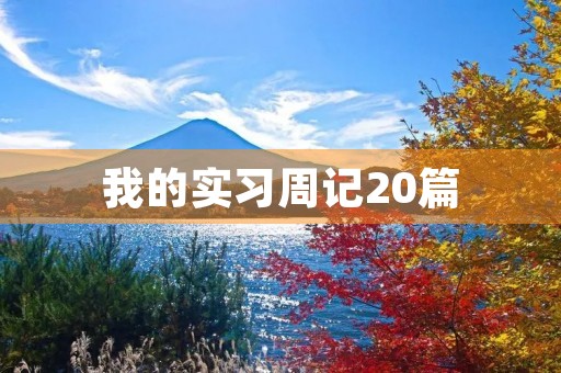 我的实习周记20篇 我的实习周记20篇