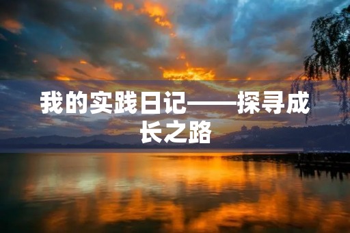 我的实践日记——探寻成长之路
