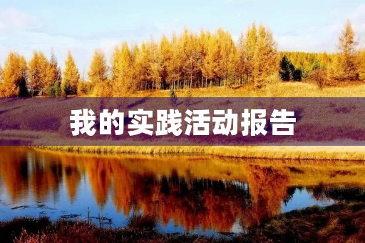 我的实践活动报告 我的实践活动报告