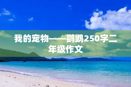 我的宠物——鹦鹉250字二年级作文