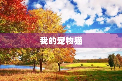 我的宠物猫
