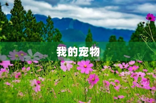 我的宠物 我的宠物