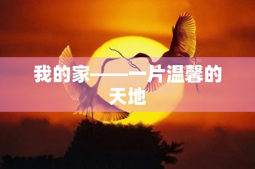 我的家——一片温馨的天地