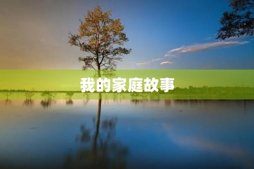我的家庭故事