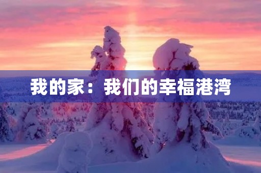 我的家：我们的幸福港湾