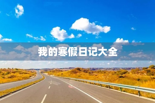 我的寒假日记大全