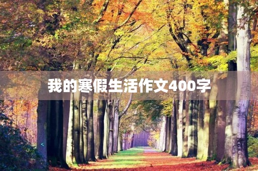 我的寒假生活作文400字