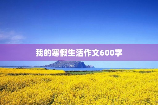 我的寒假生活作文600字 我的寒假生活作文600字