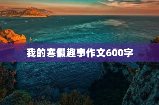 我的寒假趣事作文600字