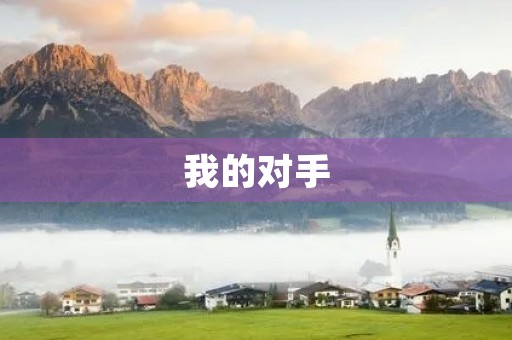 我的对手 我的对手