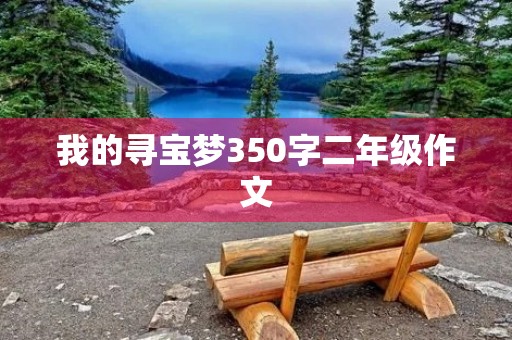 我的寻宝梦350字二年级作文