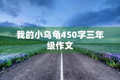 我的小乌龟450字三年级作文