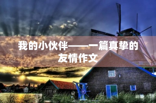 我的小伙伴——一篇真挚的友情作文