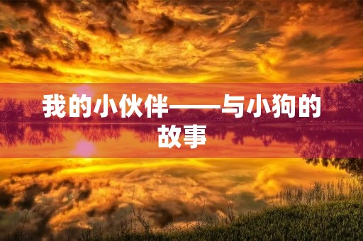 我的小伙伴——与小狗的故事 我的小伙伴——与小狗的故事
