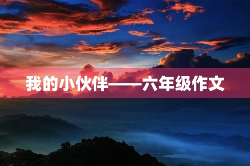 我的小伙伴——六年级作文