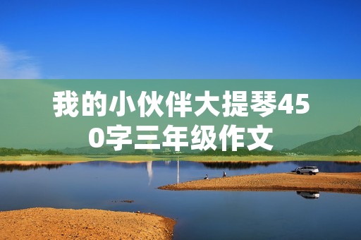 我的小伙伴大提琴450字三年级作文