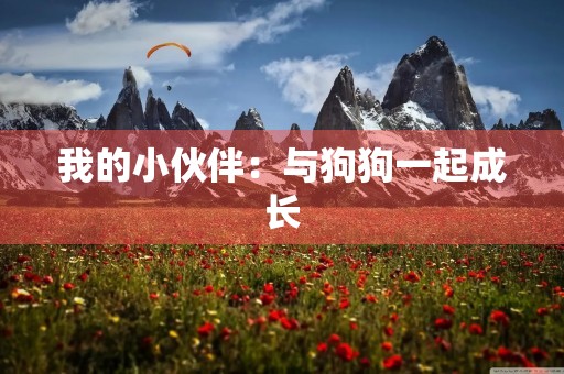 我的小伙伴：与狗狗一起成长