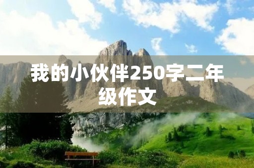 我的小伙伴250字二年级作文 我的小伙伴250字二年级作文