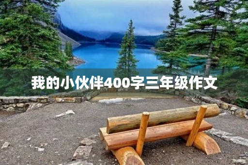 我的小伙伴400字三年级作文