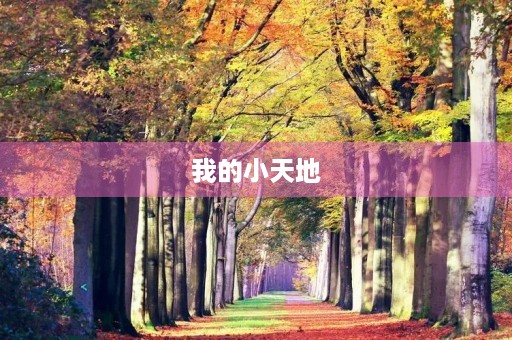 我的小天地