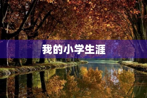 我的小学生涯 我的小学生涯