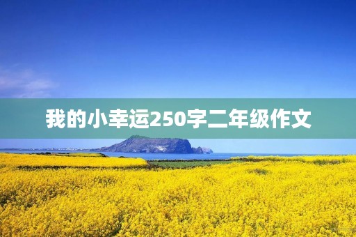 我的小幸运250字二年级作文