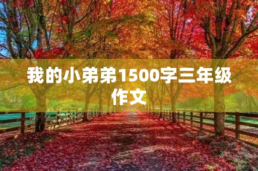 我的小弟弟1500字三年级作文