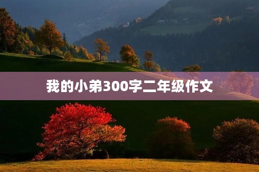 我的小弟300字二年级作文