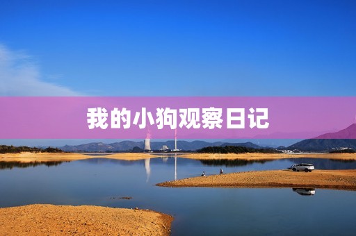 我的小狗观察日记