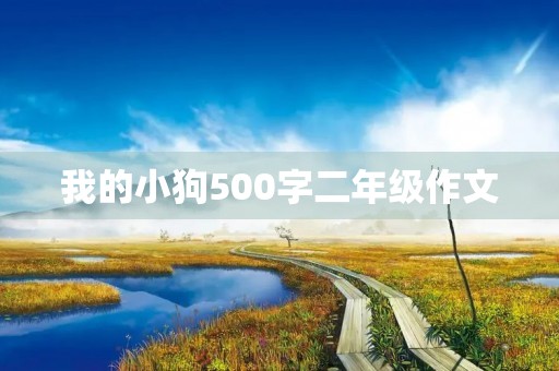 我的小狗500字二年级作文