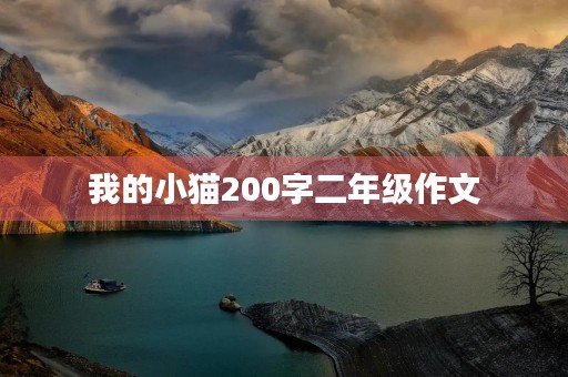 我的小猫200字二年级作文 我的小猫200字二年级作文