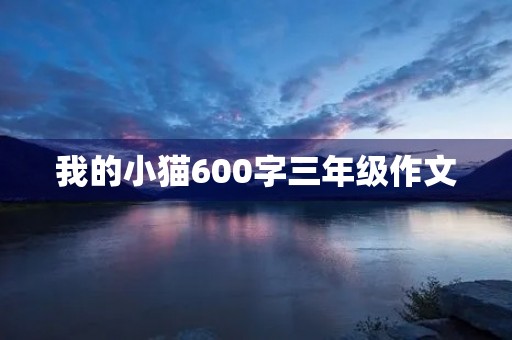 我的小猫600字三年级作文 我的小猫600字三年级作文