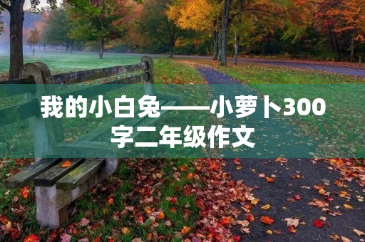 我的小白兔——小萝卜300字二年级作文