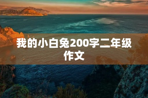 我的小白兔200字二年级作文