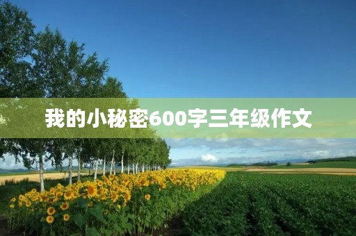 我的小秘密600字三年级作文 我的小秘密600字三年级作文