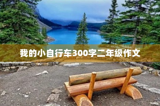 我的小自行车300字二年级作文