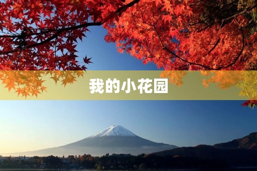 我的小花园